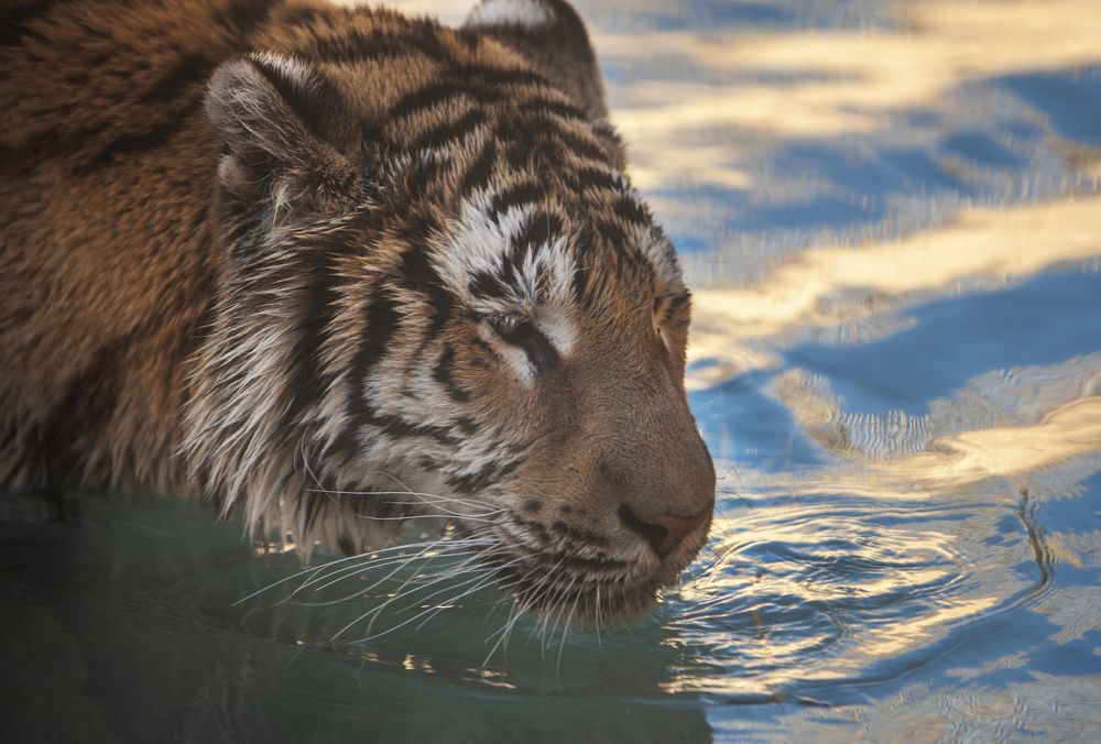 Photograph by Eleonora Grigorjeva