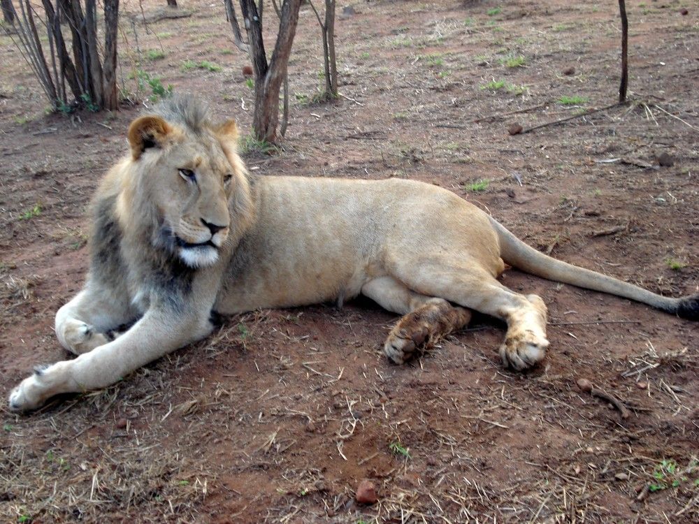 Photograph by Валентина