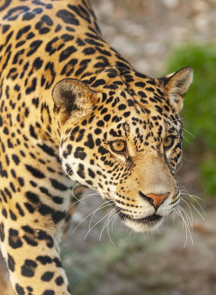 Photograph by Eleonora Grigorjeva