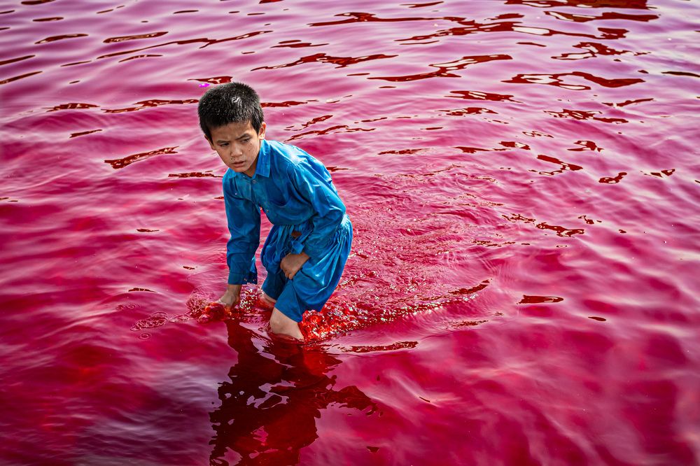 Фотография автора Amir Mardani