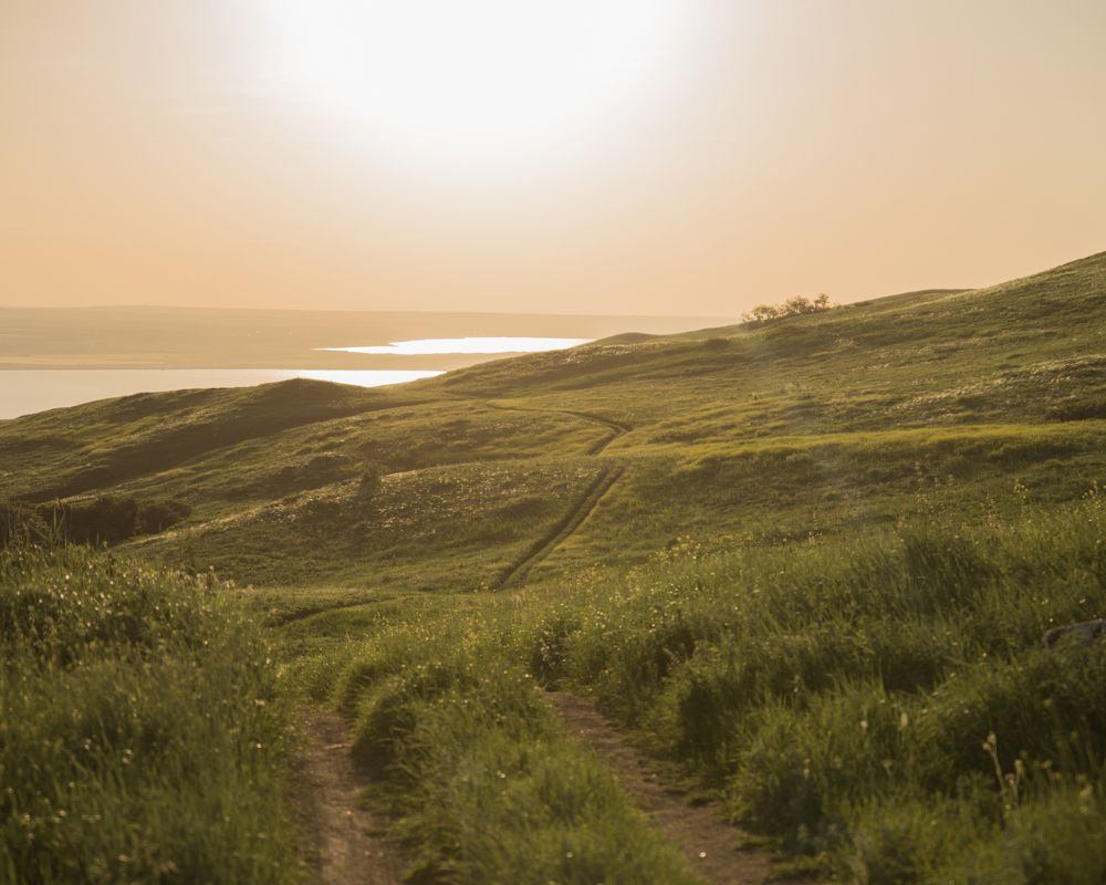 Photograph by Евгения Кузьмичева