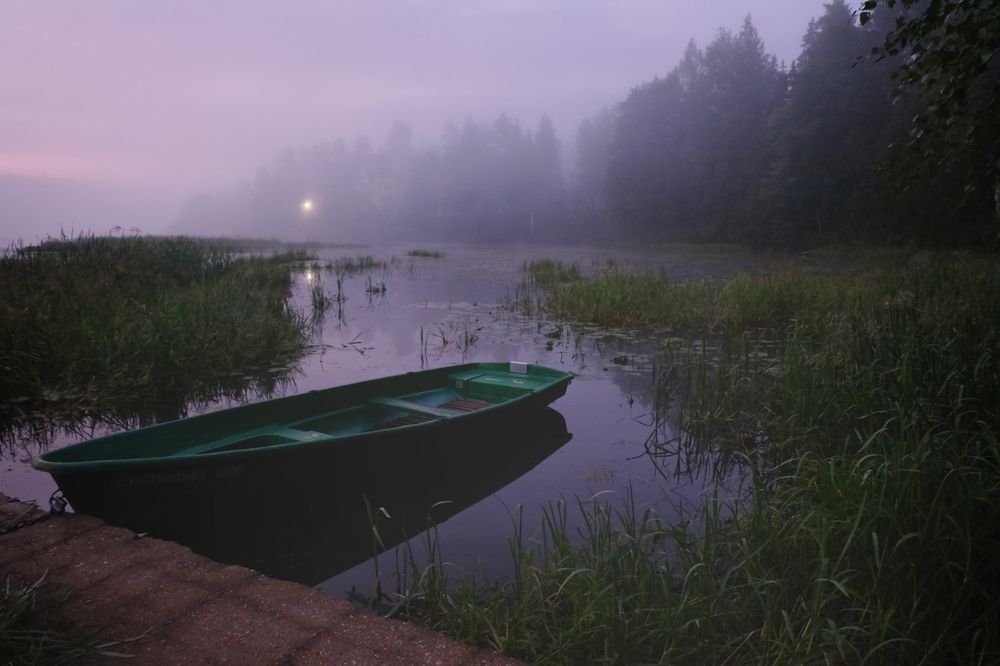 В теплом тумане