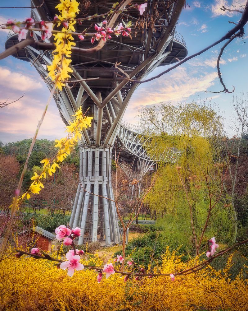 Фотография автора Shahram Hafezi