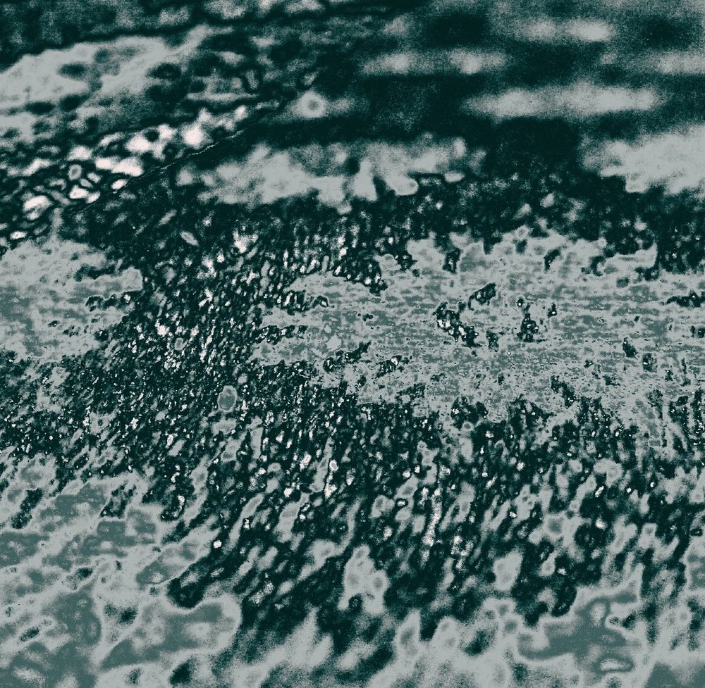 Photo #6871545