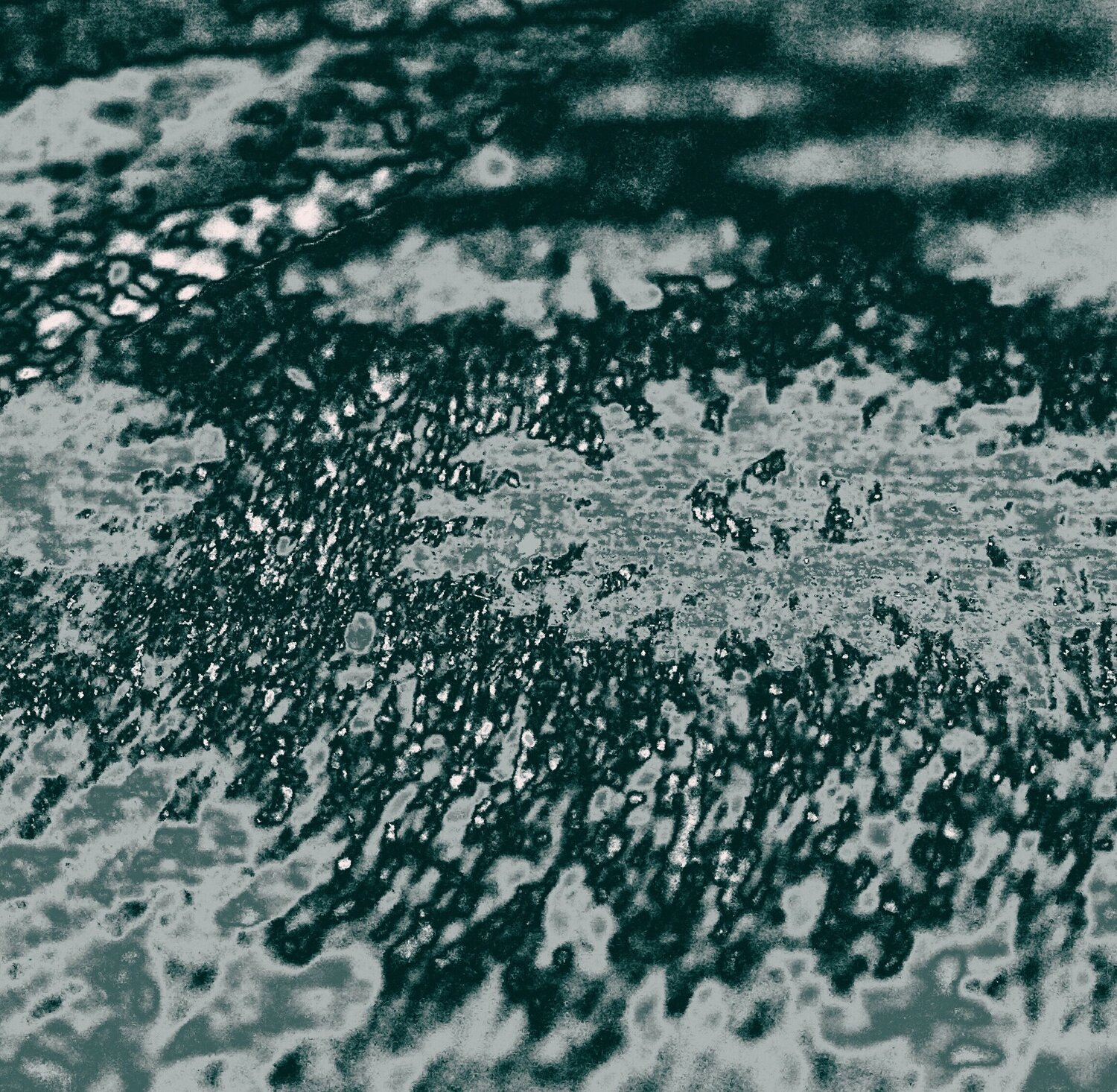 Photo #6871545