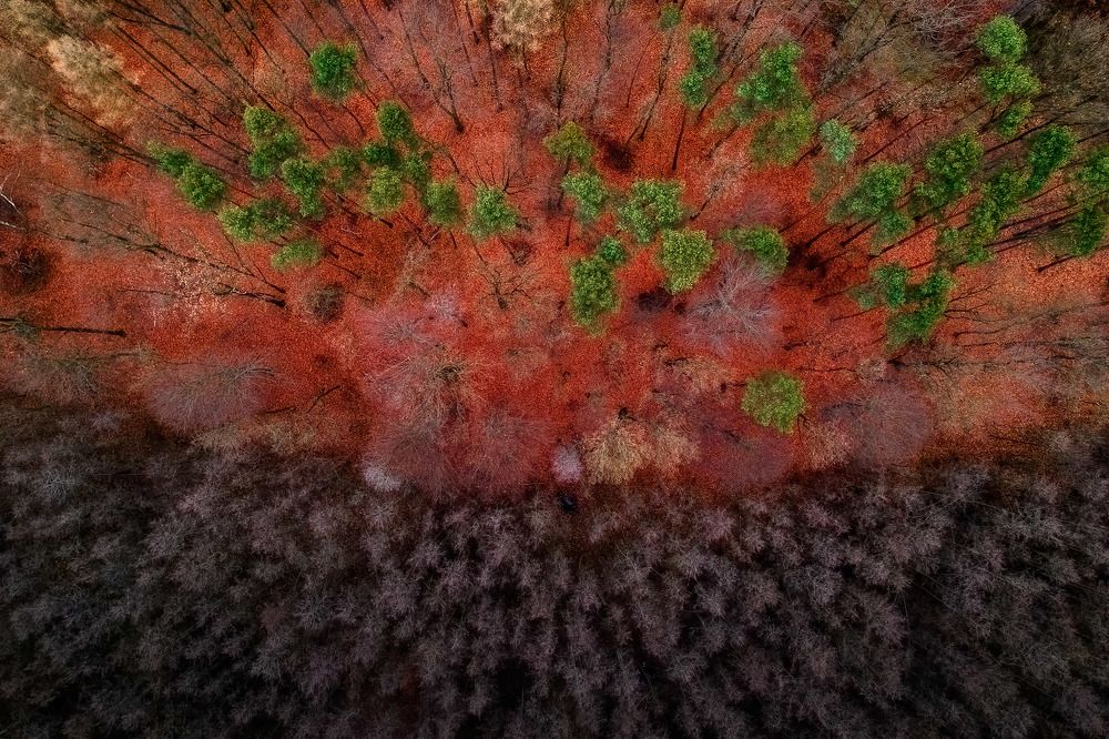 Photograph by Jakub Perlikowski