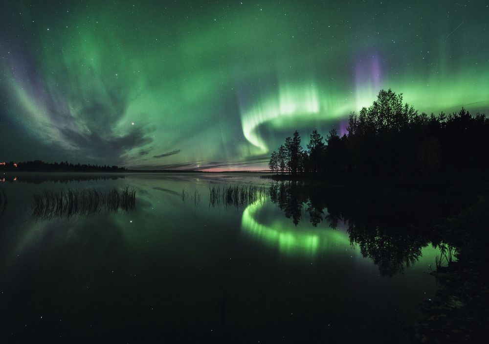 Photograph by Ahmed Nadhim