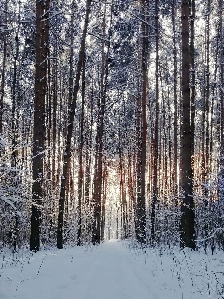 Photograph by Екатерина Чижевская