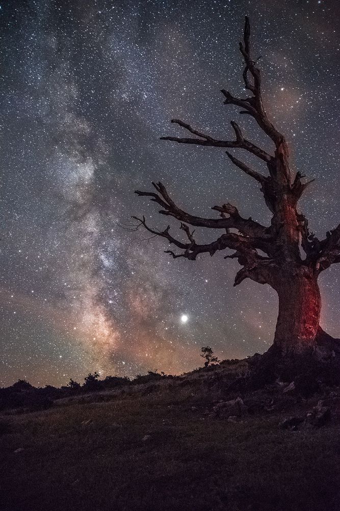 Фотография автора Farhad Alidost