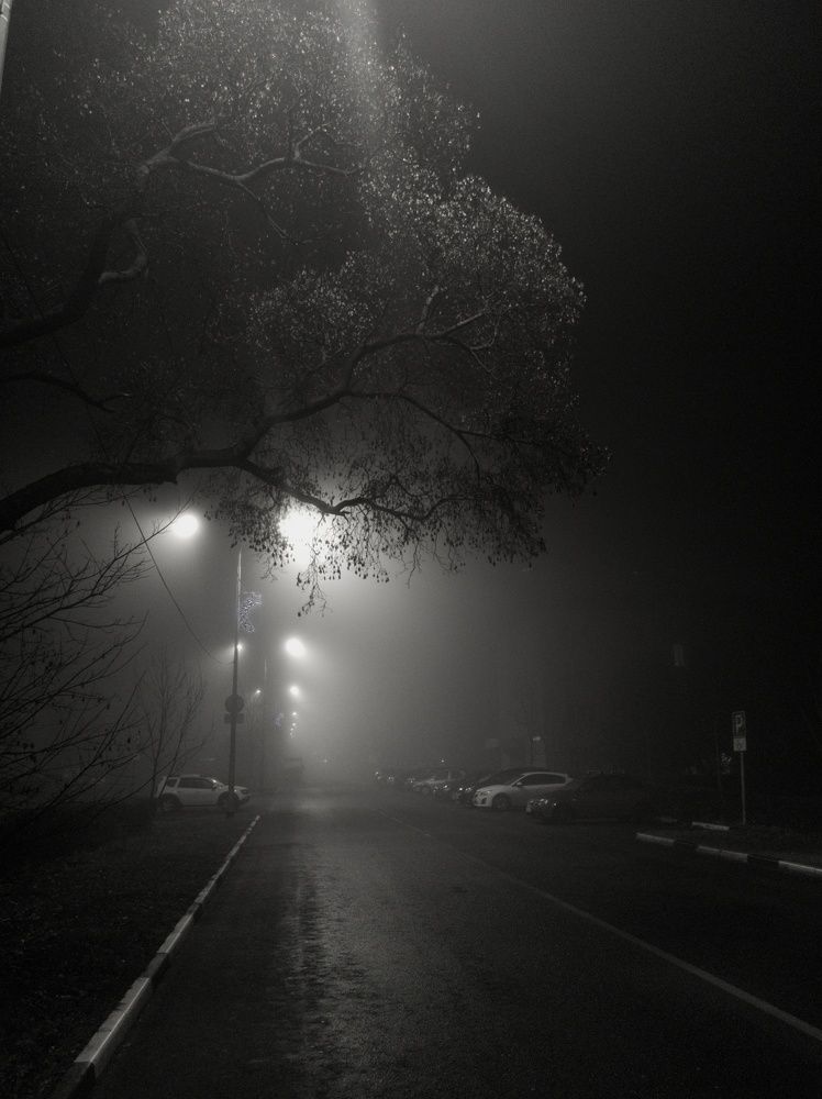 Photograph by Олеся Зеленщикова