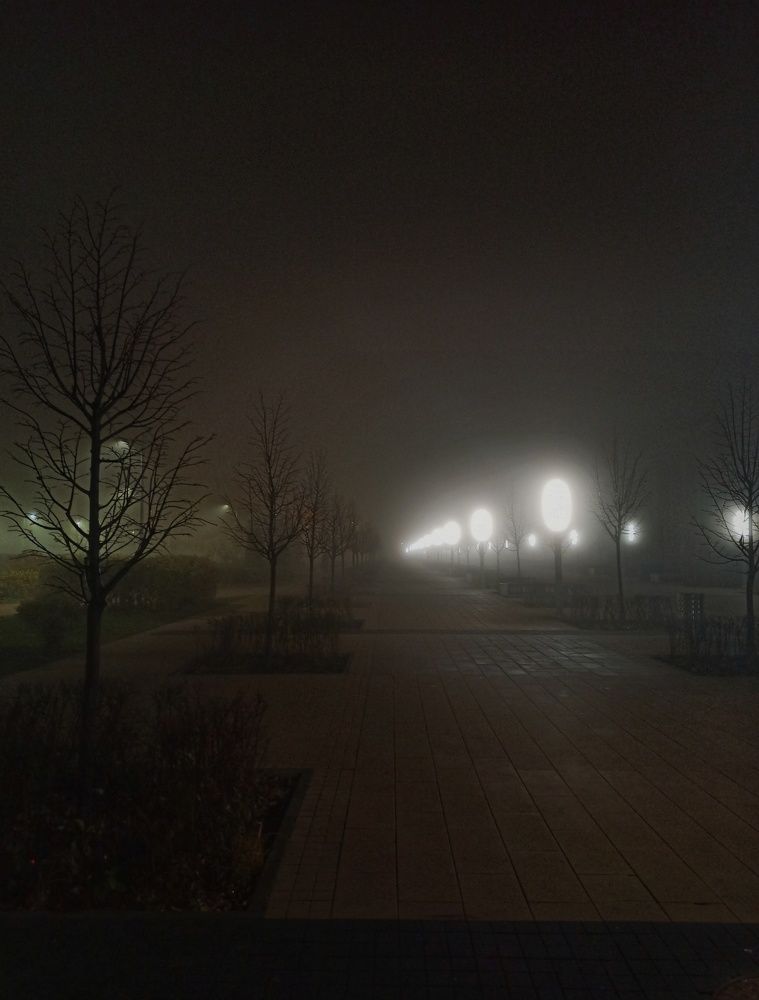 Photograph by Олеся Зеленщикова