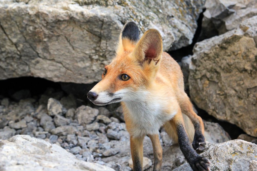 Photograph by Сергей Иванов