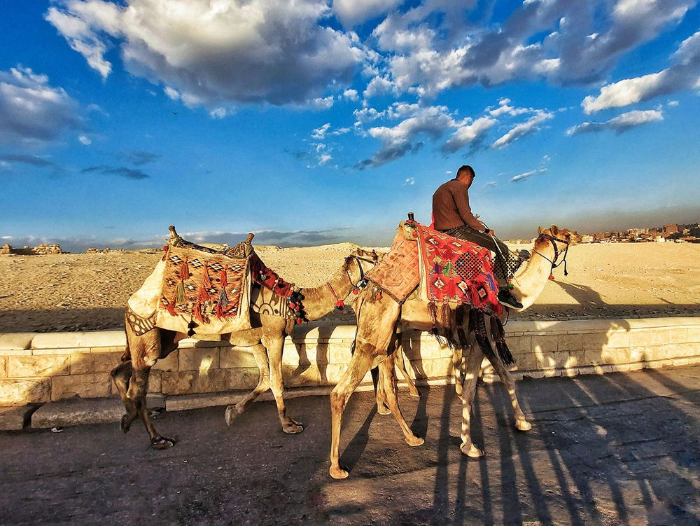 Photograph by Hanan Al Haddad