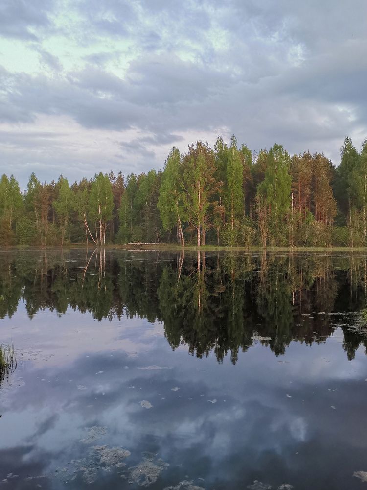 Photograph by Юлия Куделько