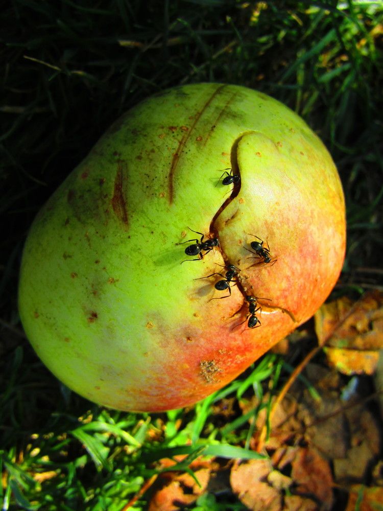 Photograph by Darko Milojevic