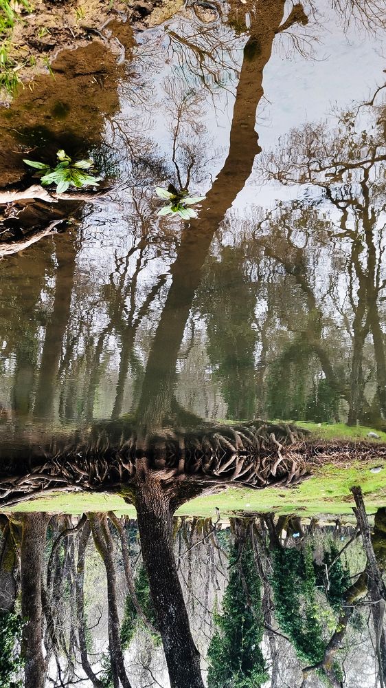 Photograph by Nihad dyani