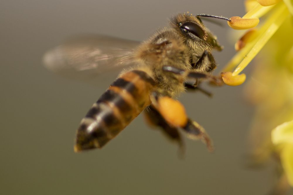 Photograph by Deon Oosthuizen