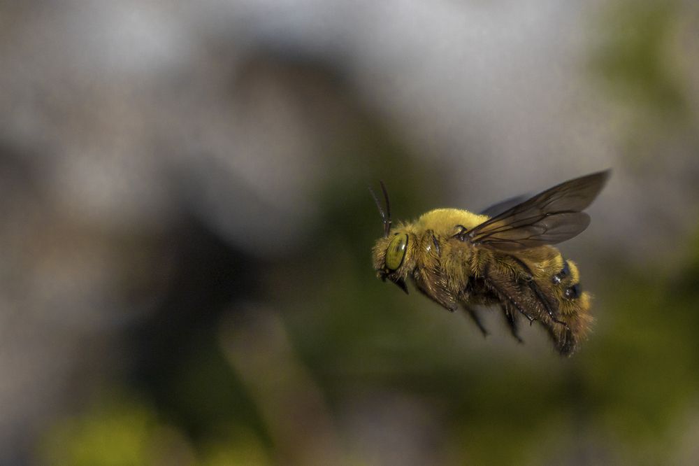 Photograph by Deon Oosthuizen
