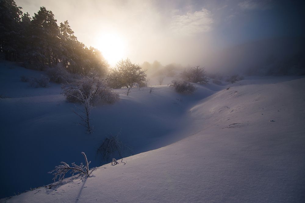 Фотография автора Юрий Коваленко