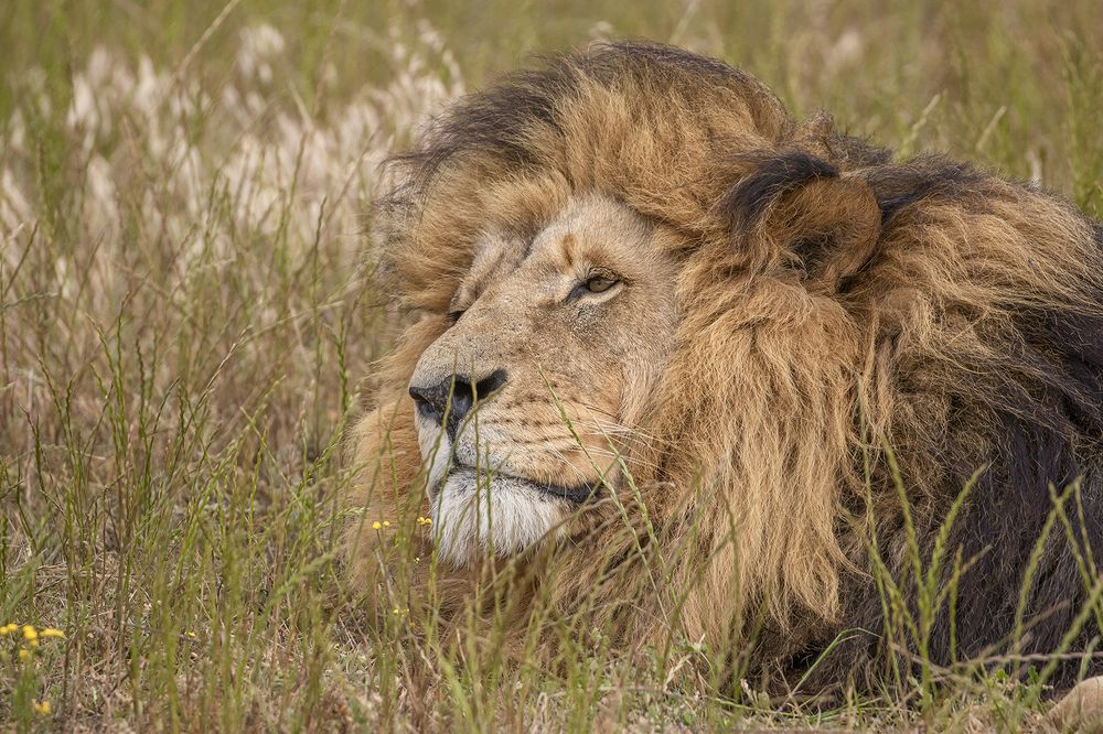 Photograph by Deon Oosthuizen