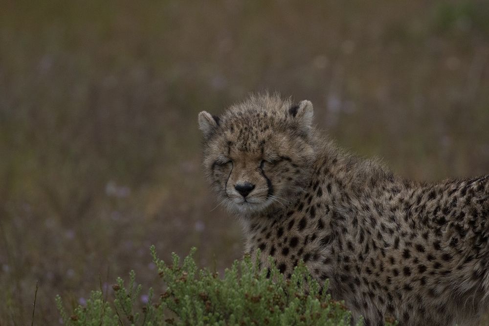 Photograph by Deon Oosthuizen