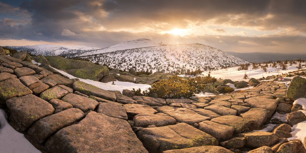 Photograph by Radim Šalša