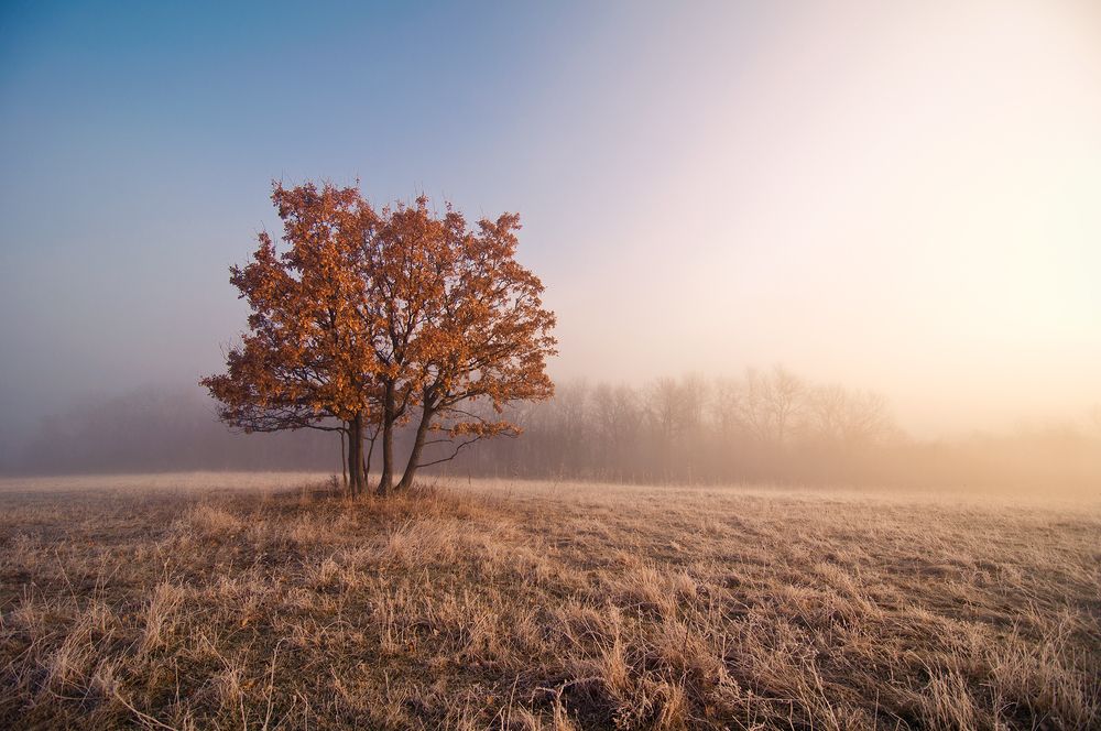 Фотография автора Юрий Коваленко