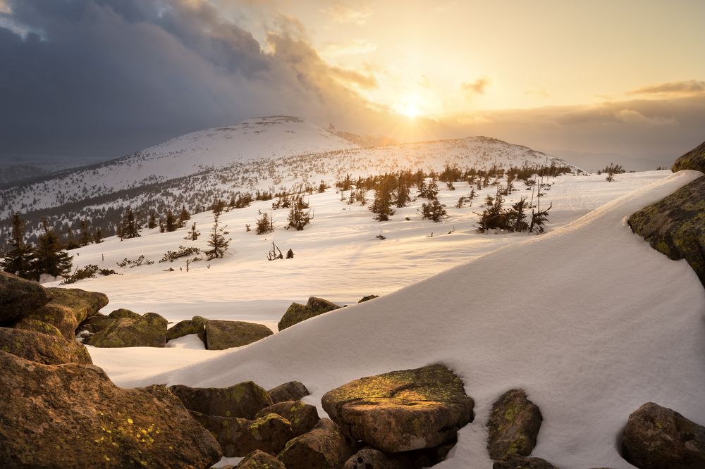 Photograph by Radim Šalša