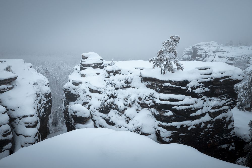 Photograph by Radim Šalša