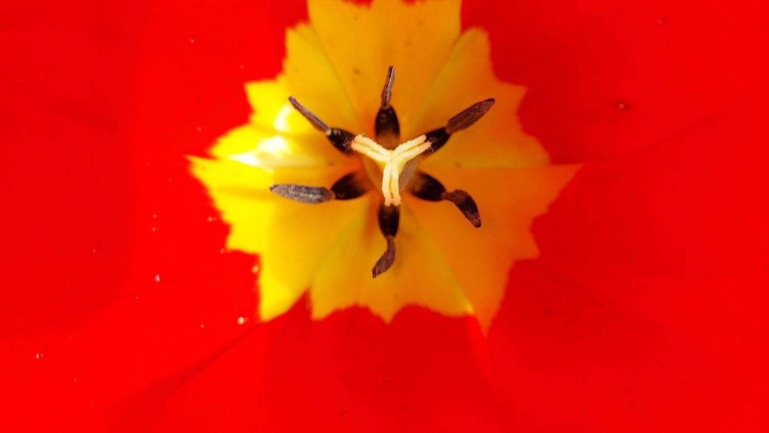 Фотография #6872197