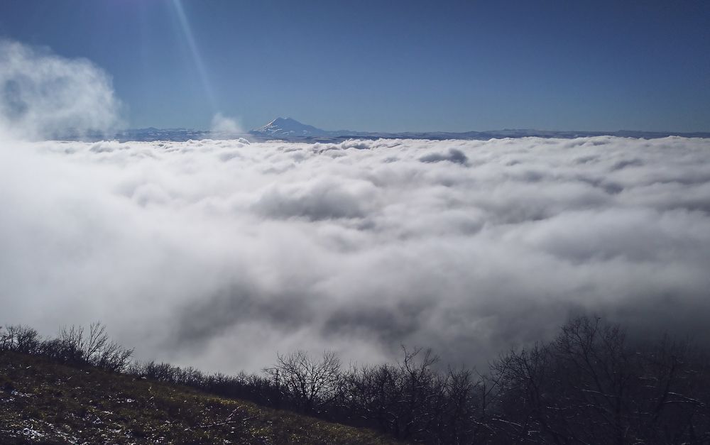 Photograph by Elena Lopatina