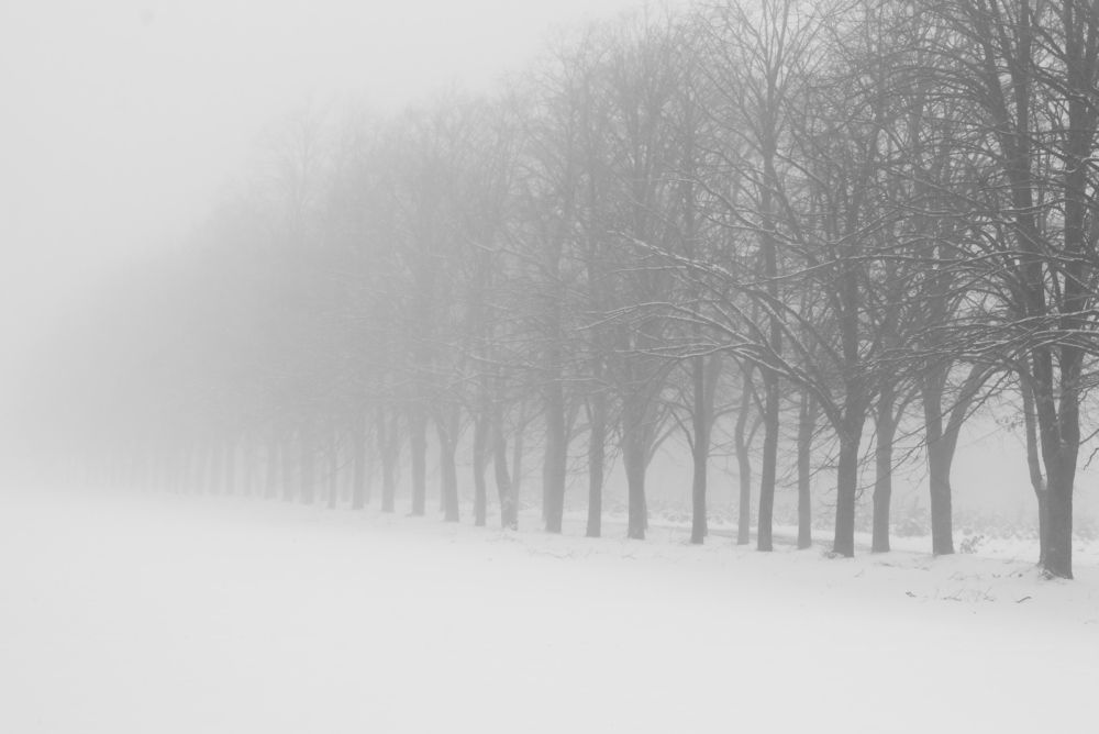 Photograph by Elena Lopatina