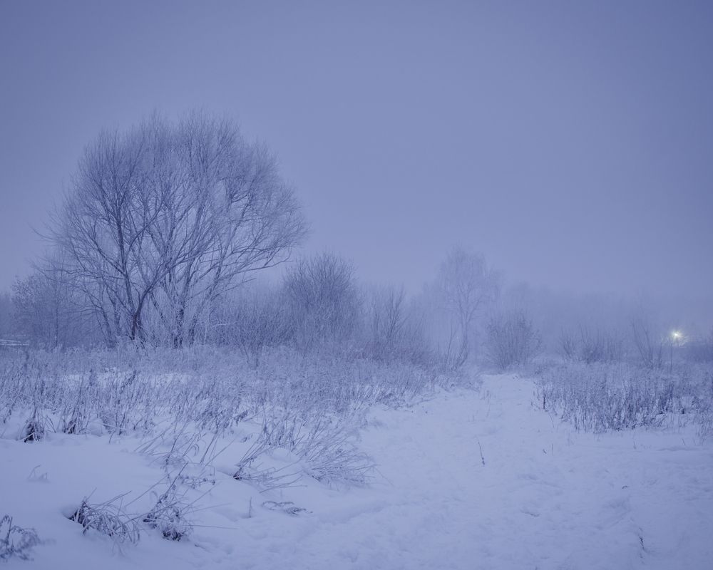 Photograph by Наталья Юрашку