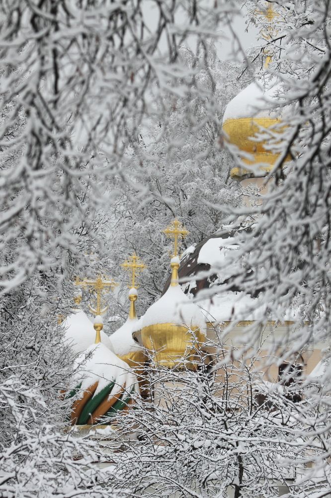 Photograph by Сергей Ножнин