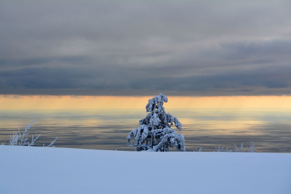 Photograph by Екатерина Крючкова