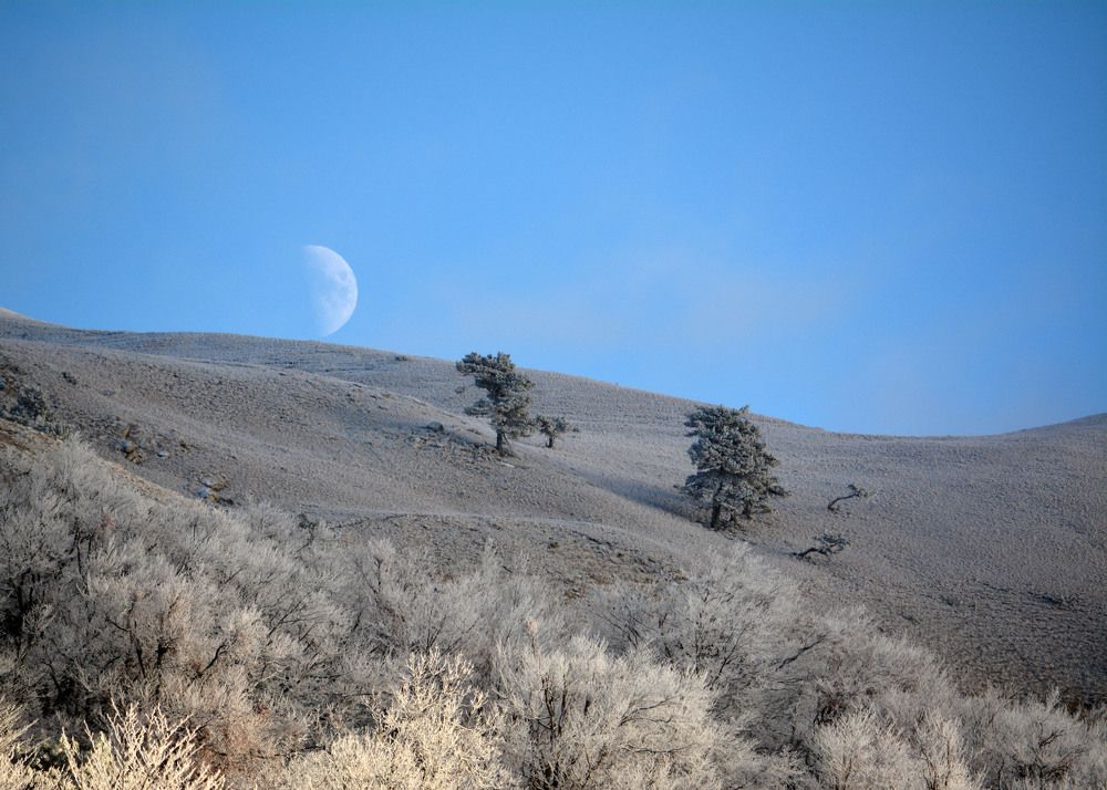 Photograph by Екатерина Крючкова