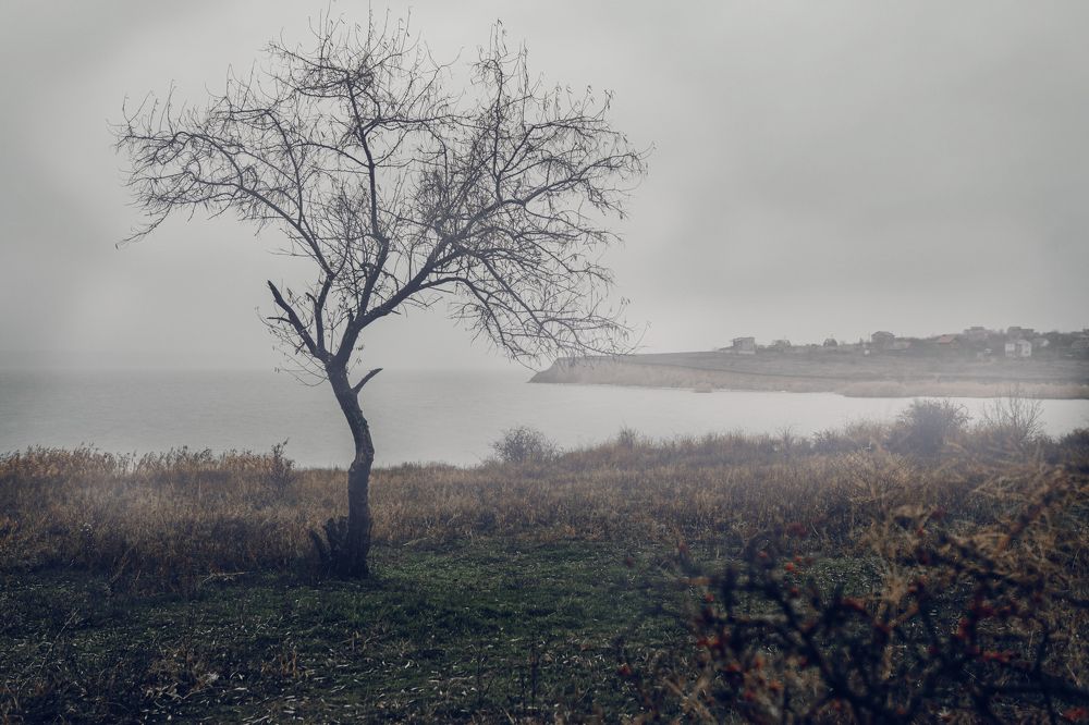 Одиночество