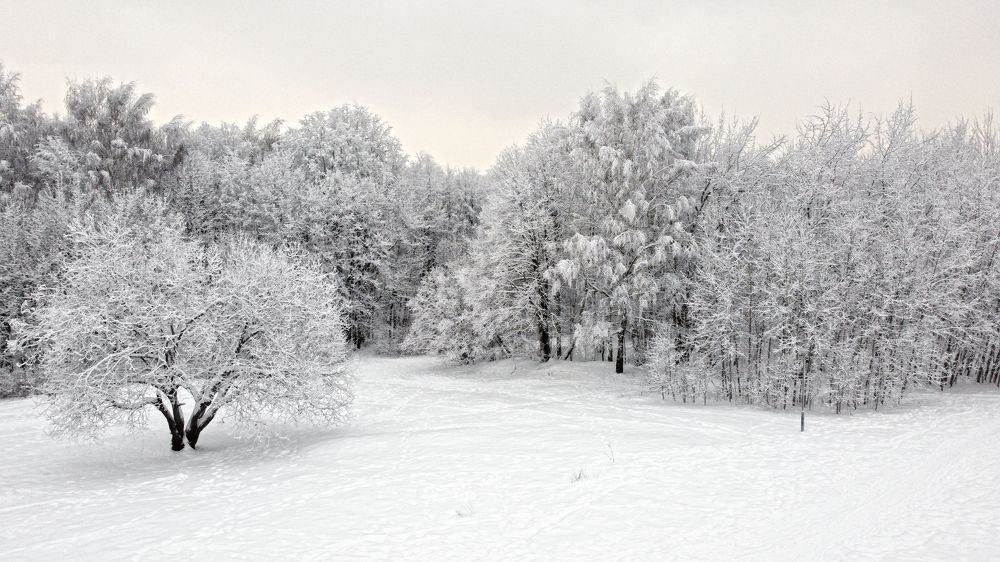 Фотография автора Коротков Алексей