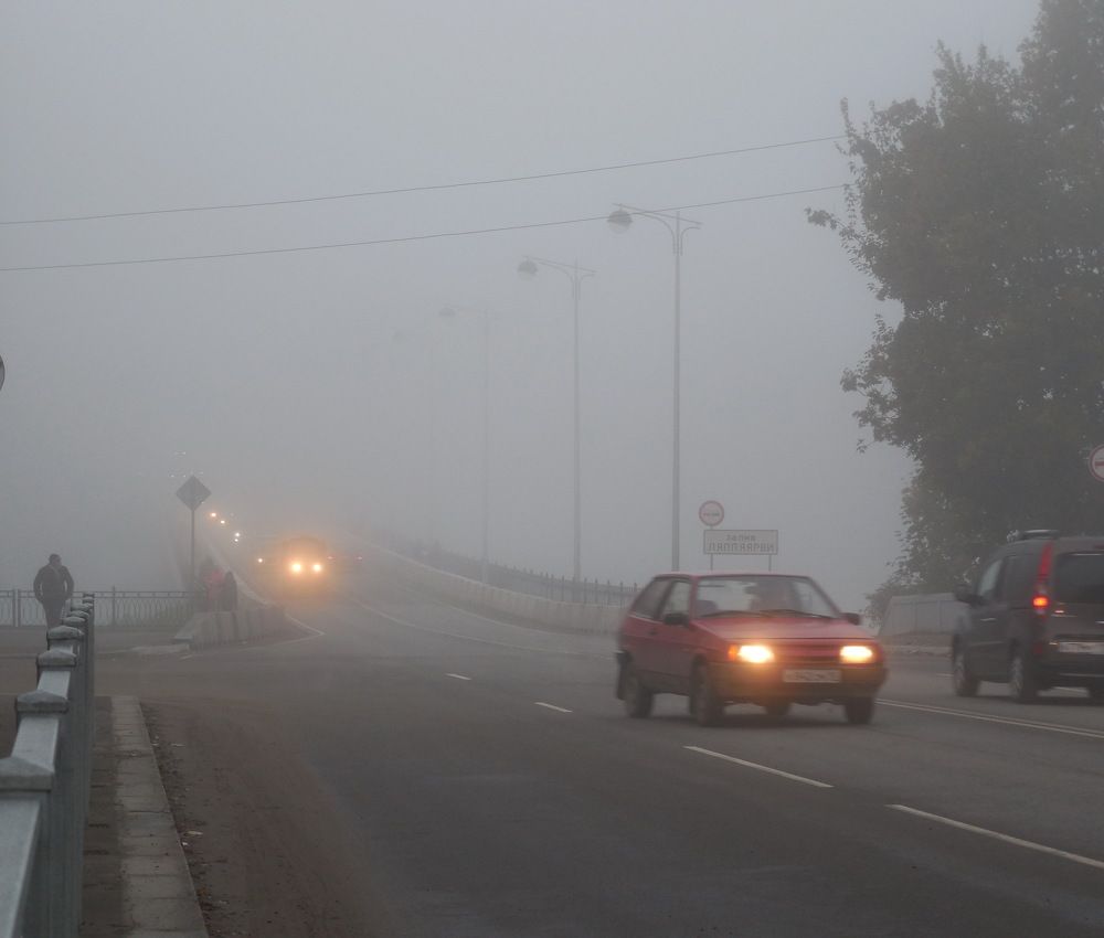 Photograph by нина кутчиева