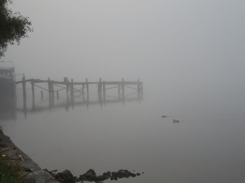 Photograph by нина кутчиева