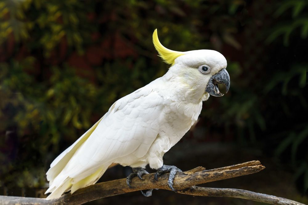 Photograph by Albert Zhager