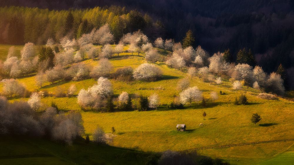 Photograph by Martin Kucera