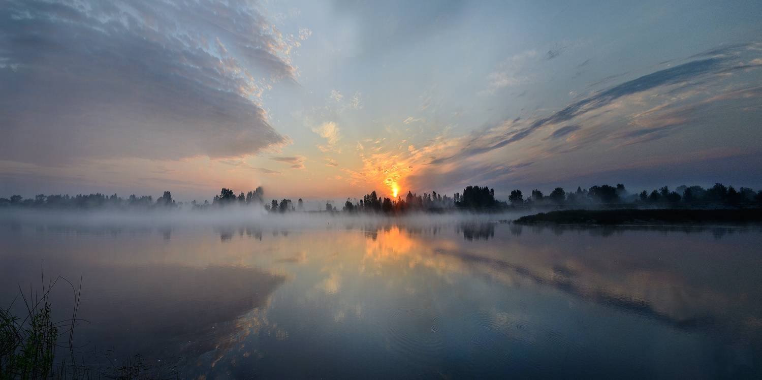 Photo #6872507