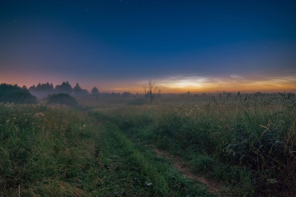 Photograph by Василий Ворона