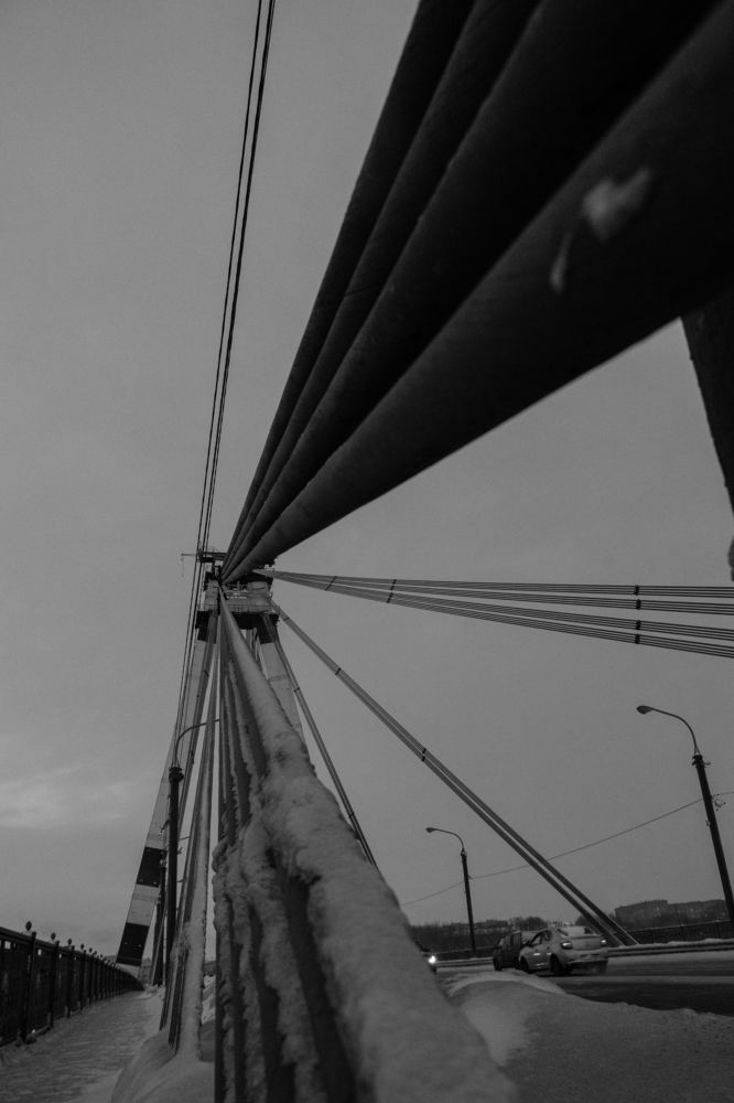 Photograph by Мария Тёмкина