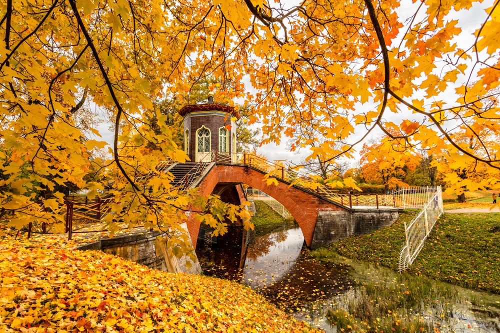 Photograph by Илья Юфа