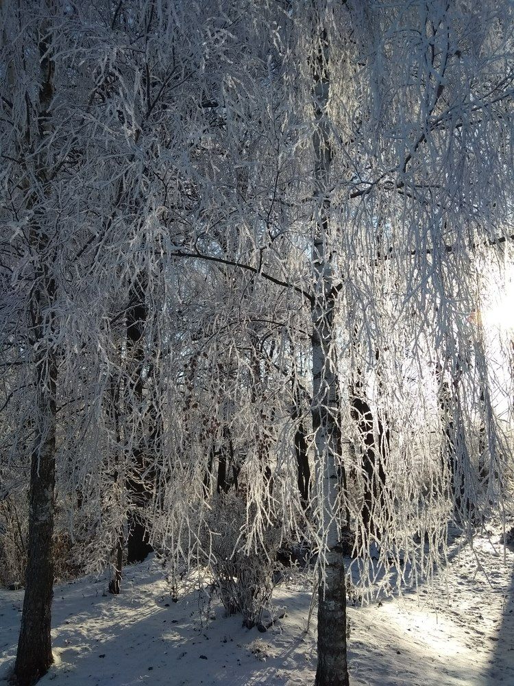 Photo #6872582
