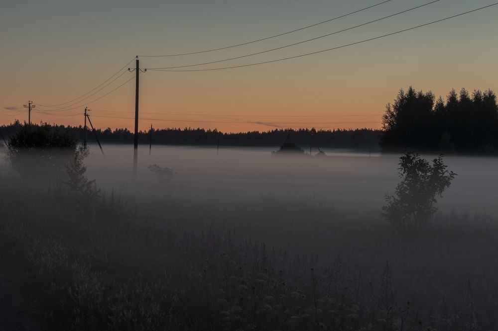 Photograph by Мария Тёмкина