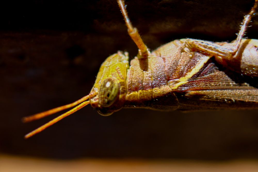 Фотография автора Cavalcante Pinheiro Filho José Flávio