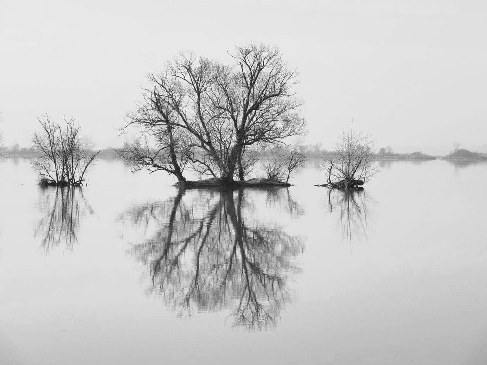 Идеальное отражение.